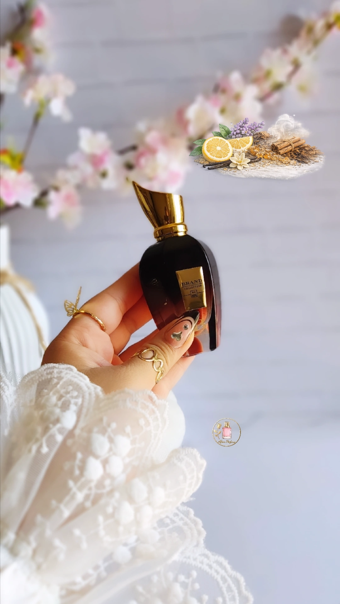 عطر یونیسکس زرجف الکساندریا 25میل  ادوپرفیوم برند کالکشن